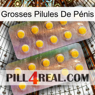 Grosses Pilules De Pénis new10